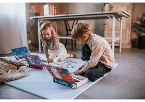 Janod - Gioco magnetico interattivo MAGNETIBOOK animali