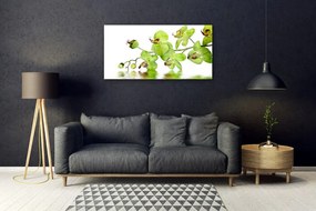 Quadro in vetro Fiori Pianta naturale 100x50 cm