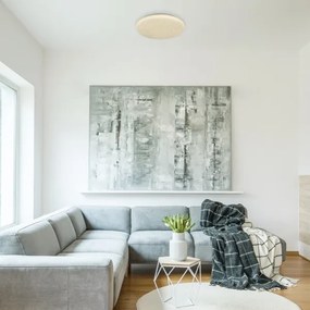 Rabalux 5436 - Plafoniera LED ROB LED/32W/230V