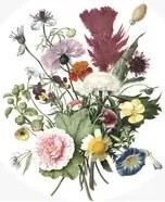 KEK Amsterdam Carta da parati panoramica Wild Flowers Circle - M - 1.9m