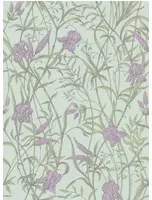 Cole & Son Carta da parati Iris - Lavender on Duck Egg
