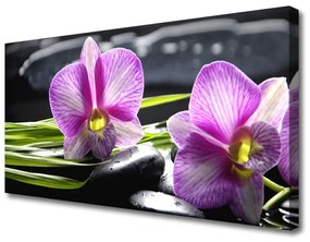 Foto quadro su tela Pietre Orchid Zen Spa 100x50 cm