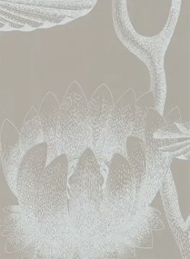 Cole & Son Carta da parati Lily - kieselgrau/ weiß