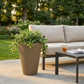 MERCEDES - vaso medio