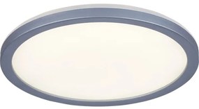 Rabalux 3358 - Plafoniera LED da bagno LAMBERT LED/15W/230V IP44