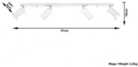 Plafoniera Orientabile RING 4L White da soffitto e parete Colore del corpo Bianco