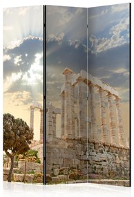 Paravento separè Acropoli greca - albero e architettura storica contro il cielo limpido
