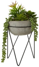 Succulenta artificiale (altezza 36 cm) Fiori - Premier Housewares