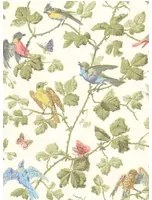 Cole & Son Carta da parati Winter Birds - Multi