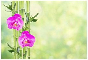 Carta da parati Orchidea e bambù 104x70 cm