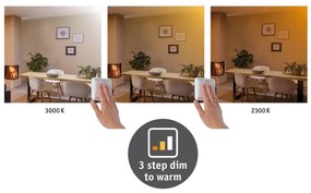 Paulmann 79796 - Plafoniera LED/13W CARPO 230V 2300-3000K