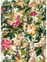 Clarke & Clarke Carta da parati Lilum - Olive/ Raspberry