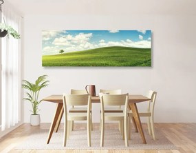 Quadro su tela – Splendido giorno sul prato