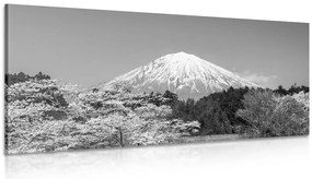 Stampa su tela – Monte Fuji in bianco e nero