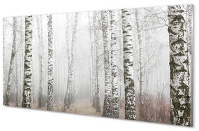 Rivestimento parete cucina Nebbia di betulla 100x50 cm