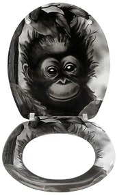 Sedile WC , 44,5 x 36,5 cm Ape - Wenko