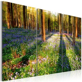 Quadro Spring Forest  Colore Marrone, Dimensioni e Misure 90x60