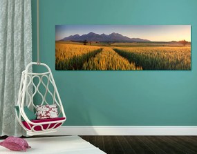 Stampa su tela – Tramonto su campo di grano