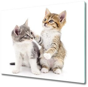 Tagliere in vetro temperato Due piccoli gatti 60x52 cm
