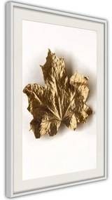 Poster  Dried Maple Leaf  Cornice Quadri Cornice d'oro con passe-partout, Larghezza x Altezza Home decor 30x45