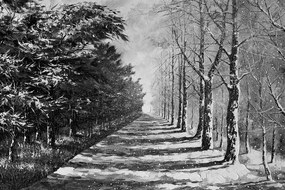 Carta da parati – Viale autunnale in bianco e nero