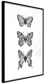 Poster  Butterfly Collection III  Cornice Quadri Cornice nera, Larghezza x Altezza Home decor 30x45