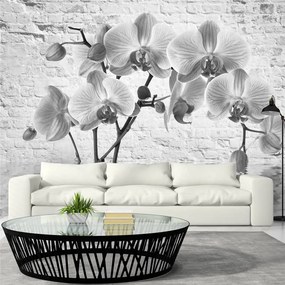 Fotomurale  Orchid in Shades of Gray  Colore Grigio, Dimensioni e Misure 150x105