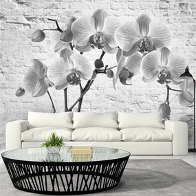 Fotomurale Orchid in Shades of Gray