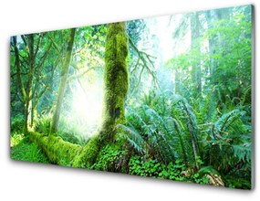 Quadro di vetro Foresta Muschio Natura 100x50 cm