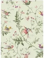 Cole & Son Tapete Hummingbirds - Multi/ Old Olive on Eau Du Nil