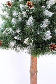 Splendido pino leggermente innevato su tronco  220 cm