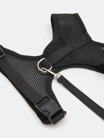 Sinsay - Pettorina e guinzaglio per cani - nero