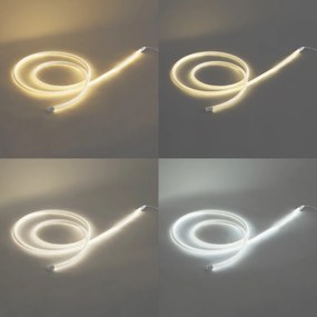 Catena luminosa bianca con spina 3m con LED dimmerabile in Kelvin IP44 - Ropy