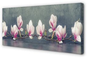 Foto quadro su tela Ramo magnolia 100x50 cm