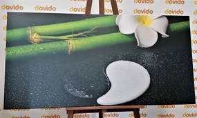 Stampa su tela – Natura morta Spa con simbolo del Jin e Jang