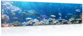 Quadro su tela – Pesci tropicali