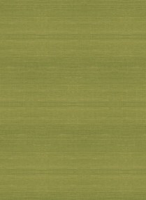 Arte International Carta da parati Line - Fern