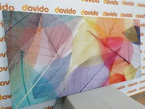 Stampa su tela – Venature su foglie colorate