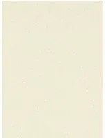 Harlequin Carta da parati Mansa - 112119 Sesame