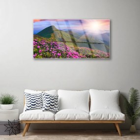 Quadro di vetro Montagne Prato Fiori Paesaggio 100x50 cm