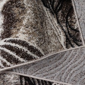 Sofisticato tappeto marrone con design interessante Larghezza: 80 cm | Lunghezza: 150 cm