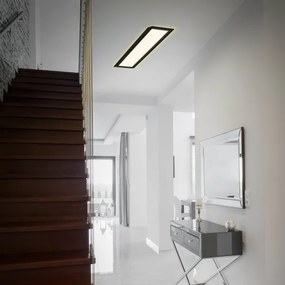 Briloner 7365-015 - Plafoniera LED CADRE LED/22W/230V 58,2x20,2 cm nera