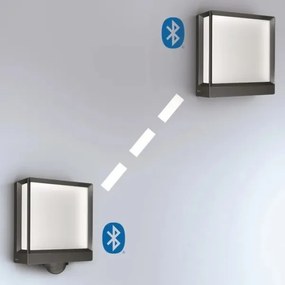 Steinel 085230 - Applique a LED da esterno L40C LED/12,9W/230V IP54