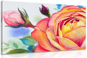 Stampa su tela – Rose in sfumature rosa