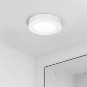 Solight WD240-W - Pannello LED 2 in 1 LED/12W/230V 3000/4000/6000K Ø17cm IP54 bianco