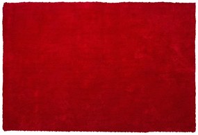 Tappeto shaggy rosso 200 x 300 cm DEMRE Beliani