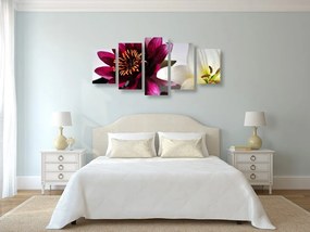 Quadri 5 pezzi – Fiori in ciotola