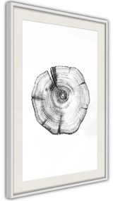 Poster  Tree Rings  Cornice Quadri Cornice d'oro con passe-partout, Larghezza x Altezza Home decor 30x45