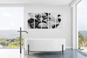 Quadri 5 pezzi – Armonia di pietre e orchidea in bianco e nero