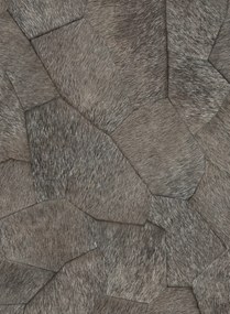 Élitis Carta da parati Pampa - VP 967 81